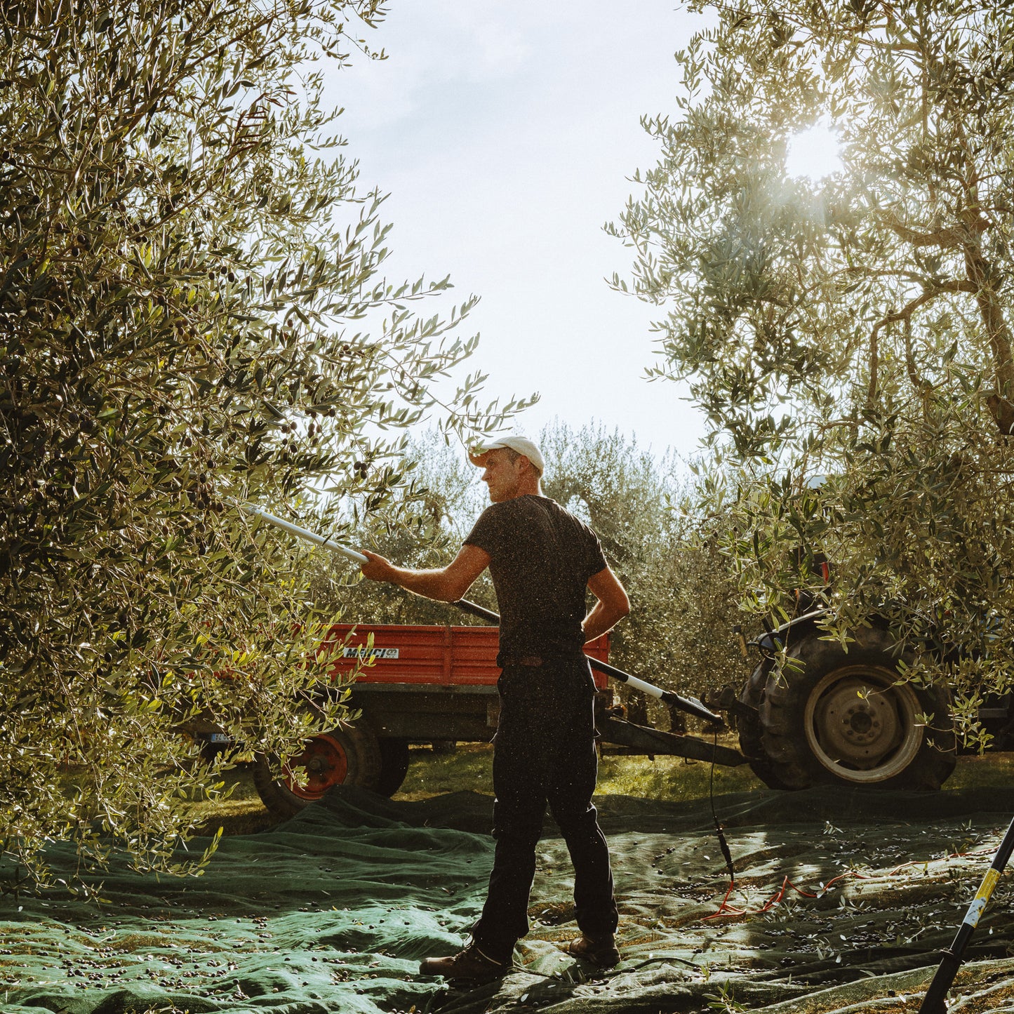 Betty Ford Boys - Trinity Park Holy Oil Bundle